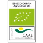 Certificado CAAE